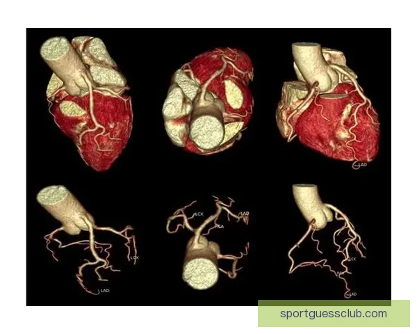 世界杯赛程竞猜与盘口深度解析策略全面指南