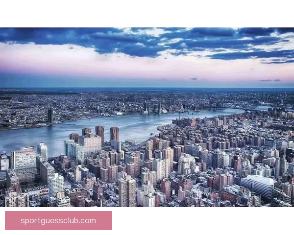 深度解析世界杯买球赔率变化规律与投注技巧全面指南